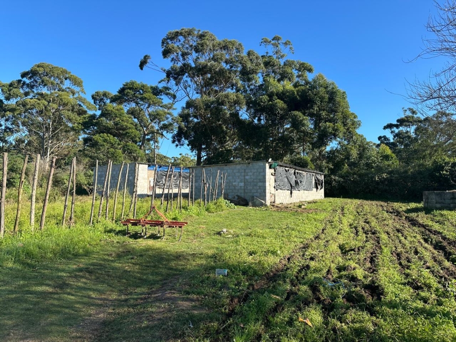 Commercial Property for Sale in Graceland Eastern Cape